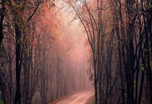 金门俱乐部在国际赛场上火爆全场，实现壮举