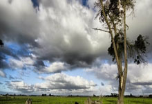 东京FC客场遭遇惨败，战绩堪忧：球队面临的挑战与未来展望