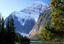 两支亚洲球队在激烈比赛中碰撞：荣耀、激情与命运的交锋