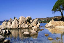 希腊女篮力克强敌夺得锦标